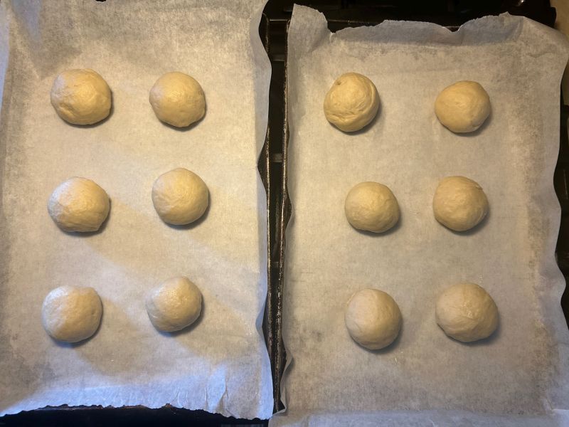 Formed Hveteboller dough balls rising on parchment before baking