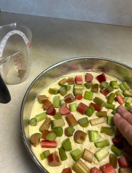 Sprinkle with chopped rhubarb and press into batter slightly.